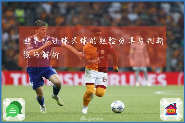 世界杯让球买球的经验分享与判断技巧解析