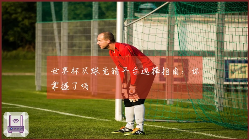 世界杯买球竞猜平台选择指南，你掌握了吗