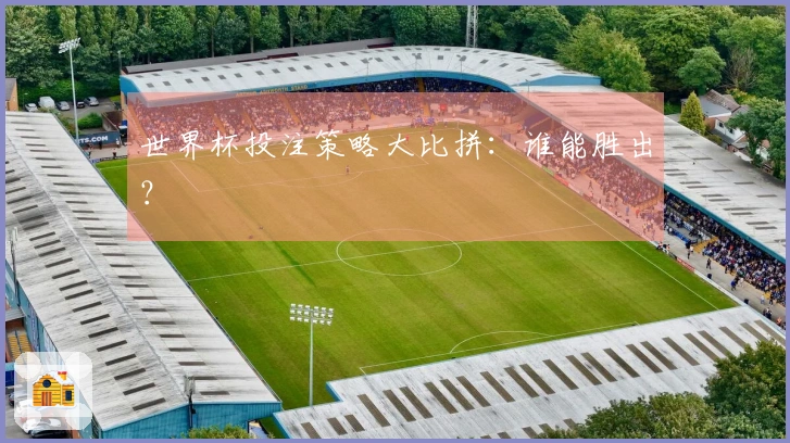 世界杯投注策略大比拼：谁能胜出？