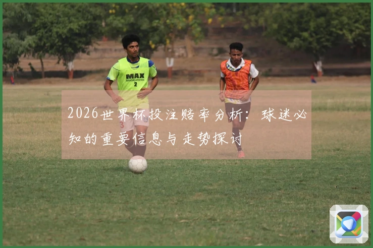 2026世界杯投注赔率分析：球迷必知的重要信息与走势探讨