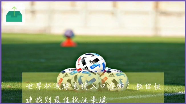 世界杯滚球竞猜入口在哪？教你快速找到最佳投注渠道