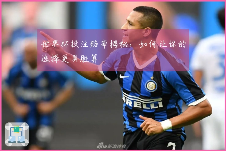 世界杯投注赔率揭秘，如何让你的选择更具胜算