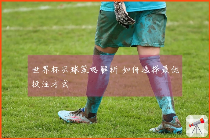 世界杯买球策略解析 如何选择最优投注方式