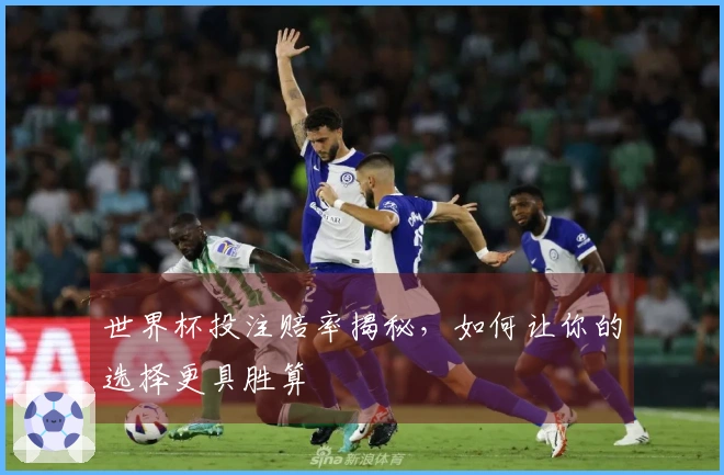 世界杯投注赔率揭秘，如何让你的选择更具胜算